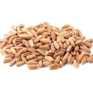 Farro Decorticato